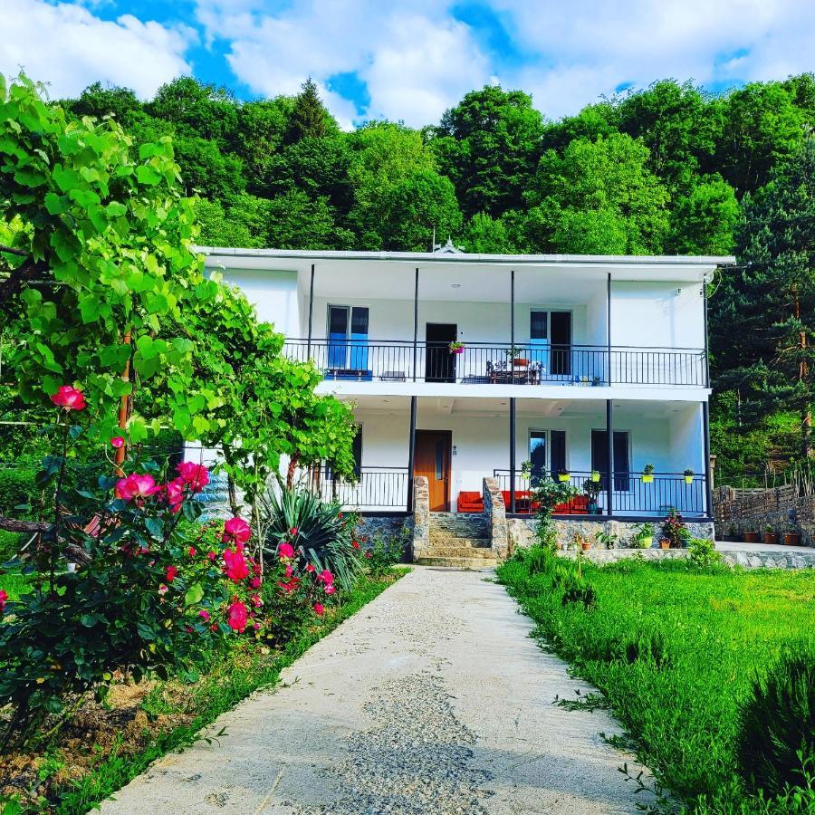 Family Hotel Mountain Panorama Bordžomi Exteriér fotografie