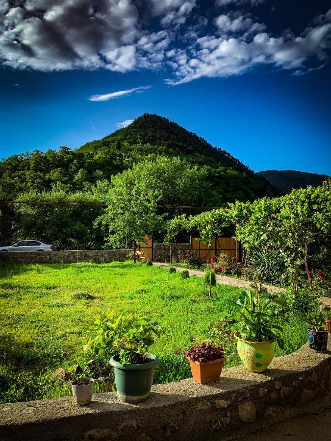 Family Hotel Mountain Panorama Bordžomi Exteriér fotografie